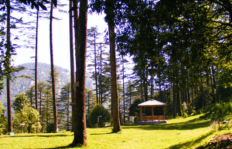 Victoria Dam in Bhimtal